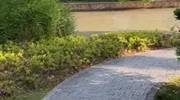 嘉兴三塔公园