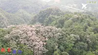 旅拍广西崇左大连城景区