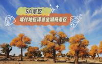 5A景区，新疆喀什地区泽普金湖杨景区
