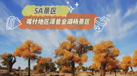 5A景区，新疆喀什地区泽普金湖杨景区