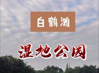 新津白鹤滩国家湿地公园