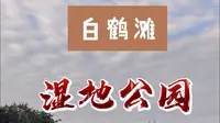 新津白鹤滩国家湿地公园