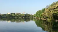 两江四湖-榕湖