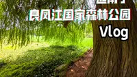 南宁休闲纳凉好地方 良凤江国家森林公园 Vlog