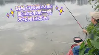 破龟行动第20集:邕江涨水第一晚禾花鲤拉法法！
