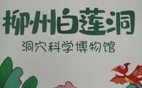 柳州小众景点，白莲洞洞穴科学博物馆