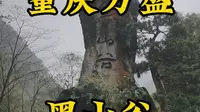 走遍所有5A景区第48站，重庆万盛黑山谷。