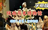 字幕版陕西历史博物馆全攻略讲解（包含珍品馆），一朝入长安，一日阅千年！——【波阿普游记】陕西历史博物馆