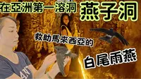 云南红河「燕子洞」｜时隔几十年再次走进神秘燕子洞，我们竟遇到来自马来西亚的贵客