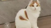 中华世纪坛艺术馆