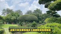 南宁南湖公园景点介绍，看炫酷水幕电影，感受南湖公园的奇幻之旅
