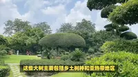 南宁南湖公园景点介绍，看炫酷水幕电影，感受南湖公园的奇幻之旅