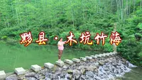 安徽黟县木坑竹海好不好玩？卧虎藏龙取景地木坑竹海游玩攻略
