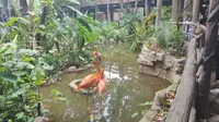 佛山顺德长鹿旅游休博园