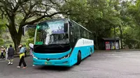 【景區接駁·POV823】【武夷山夏日遊】武夷山國家公園景區觀光車@閩H·06578D 南入口→天游峰
