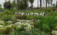 “5分钟”带你逛完“成都交子金融博物馆”😉