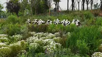 “5分钟”带你逛完“成都交子金融博物馆”😉