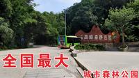 广西南宁高峰森林公园，为什么，来过一次的人都说不想再来了？