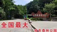 广西南宁高峰森林公园，为什么，来过一次的人都说不想再来了？