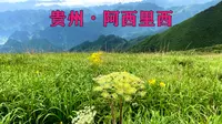 阿西里西旅游指南！