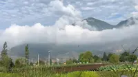 云南大理鹤庆草海国家湿地公园，游客少：夏天最好的避暑胜地