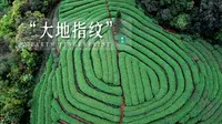 雅安丨四川农村奇观！地球也有指纹？