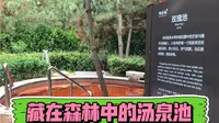 威海那香海有21个温泉池，都藏在了黑松林里，每个池子都泡一天不够用