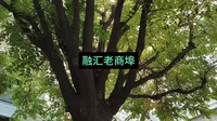 济南融汇老商埠是老宅变时尚的典范
