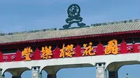 古柏渡丰乐樱花园