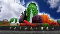九丰农业博览园门票特价票优惠团购票游玩攻略免票政策营业时间铜仁旅游