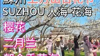 實拍蘇州上方山森林公園，上方山百花節開啓，春暖花開，週末出遊踏青賞花好時節，一起來賞花吧。拍摄于2025年3月22日
