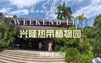 兴隆热带植物园 干货满满 超有意思