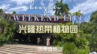 兴隆热带植物园 干货满满 超有意思