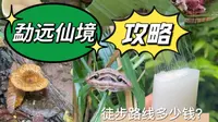 勐远仙境徒步攻略来啦！！ 一次很特别的生日徒步体验！很好玩！ 下次还要去！！