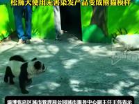 园方回应淄博动物园“熊猫狗”走红