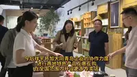 走进国内油橄榄龙头企业——陇南祥宇油橄榄公司