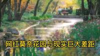 上海共青森林莫奈花园网红与现实巨大差距