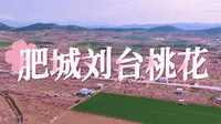 肥城刘台桃花源风景区