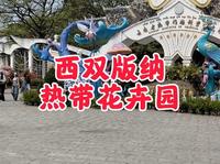 西双版纳热带花卉园