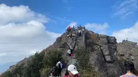 东莞银屏山森林公园，上山顶用了一个半小时，山顶风景美不胜收