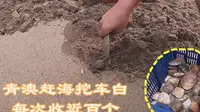 汕头南澳青澳湾赶海，本地人都常去，每次收获近百个车白贝