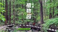 北京花5元❗️看绝美水杉林+郁金花海｜国家植物园超全攻略