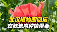 武汉植物园回应，在铁笼内种植罂粟，“用于禁毒科普 游客仅可隔笼观赏”