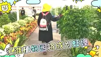 蚌埠新晋生态名片魅力地标，江淮植物园温室馆花卉，一起欣赏吧！