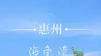 惠州 | 海龟湾