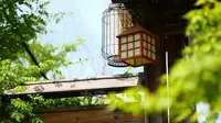 青岛阿朵花屿