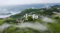 去云和梯田的都是大大大大冤种吗？