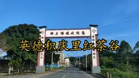2026年5月31日清远市英德横石塘镇积庆里红茶谷🌲