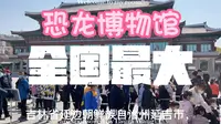 国内最大的延吉恐龙博物馆
