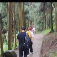 成都青城山后山旅行日记爬行路线：泰安古镇---五龙桥---龙隐栈道---又一村---熊耳亭(5.12地震后该路已不通)---白云寺---白云古寨---翠映湖